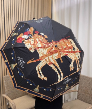 Зонт Hermes Артикул BMS-119285. Вид 1