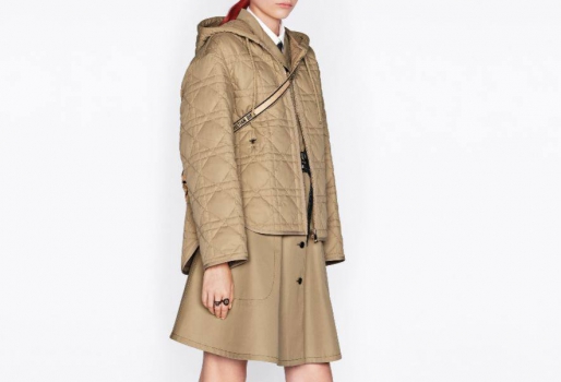 Куртка женская Christian Dior Артикул BMS-97028. Вид 1
