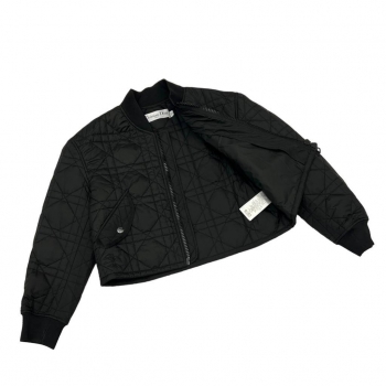 Куртка-бомбер Christian Dior Артикул BMS-119976. Вид 2