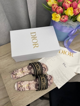 Шлепанцы  Christian Dior Артикул BMS-128851. Вид 1